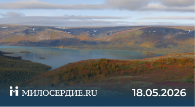 Эндаумент-фонд «Кольский» принес 890 млн рублей дохода